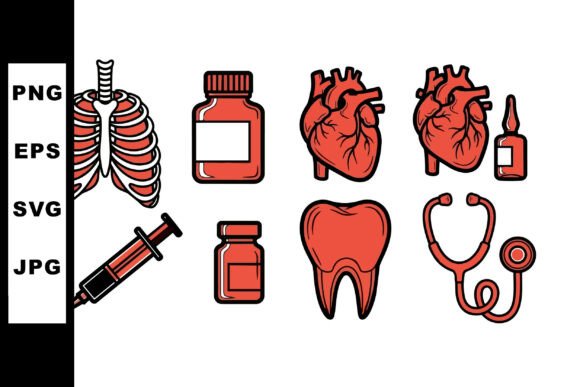 A Designer's Practical Review of Medical Anatomy Vector Clipart